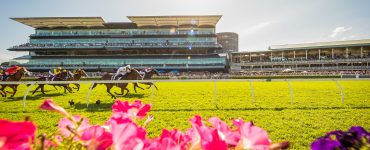 Horses racing past a flower bed at Royal Randwick Sydney