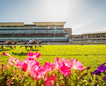 Horses racing past a flower bed at Royal Randwick Sydney