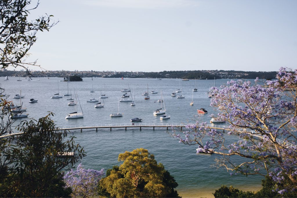 Looking down over Sydney harbour pool Murray Rose