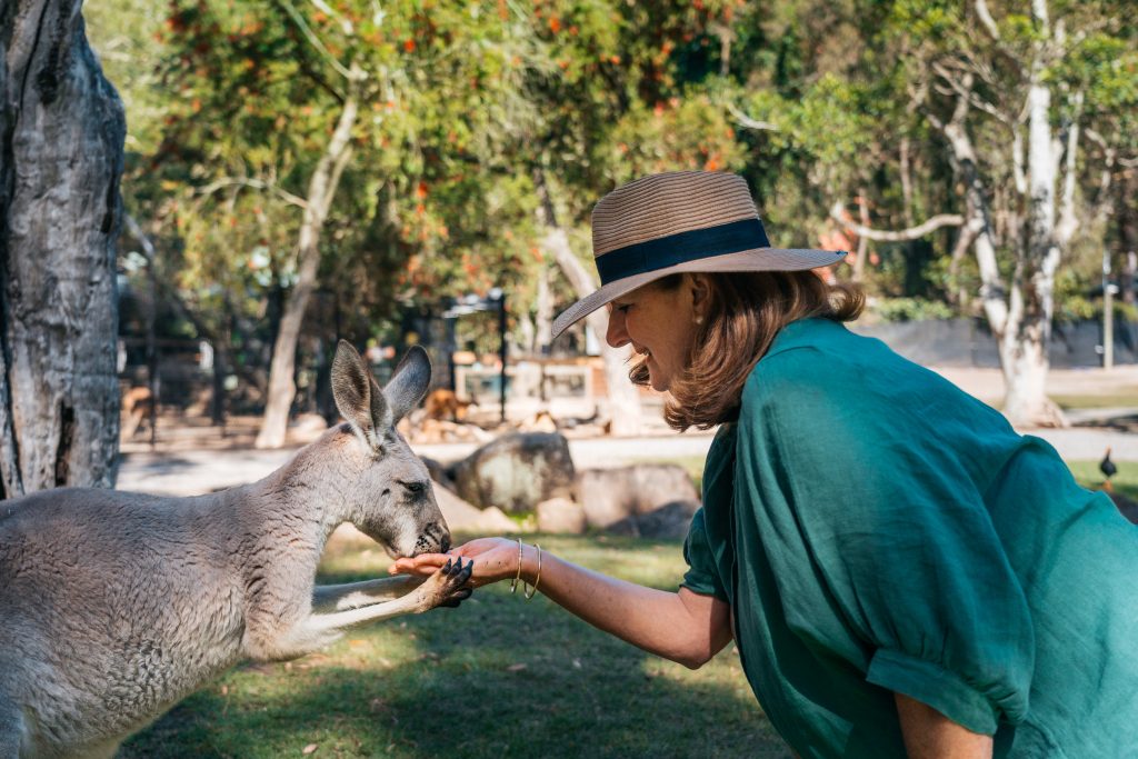 Feeding a kangaroo at Currumbin Wildlife Sanctuary