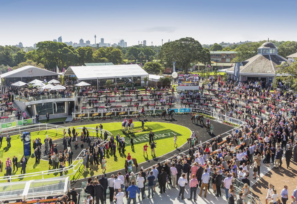 Huge crowds in the mounting yards at Royal Randwick