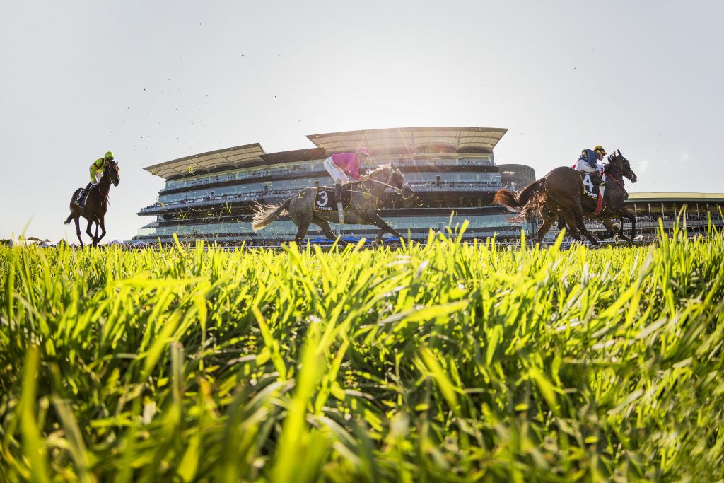 Racing horses seen from ground level at Royal Randwick, Sydney