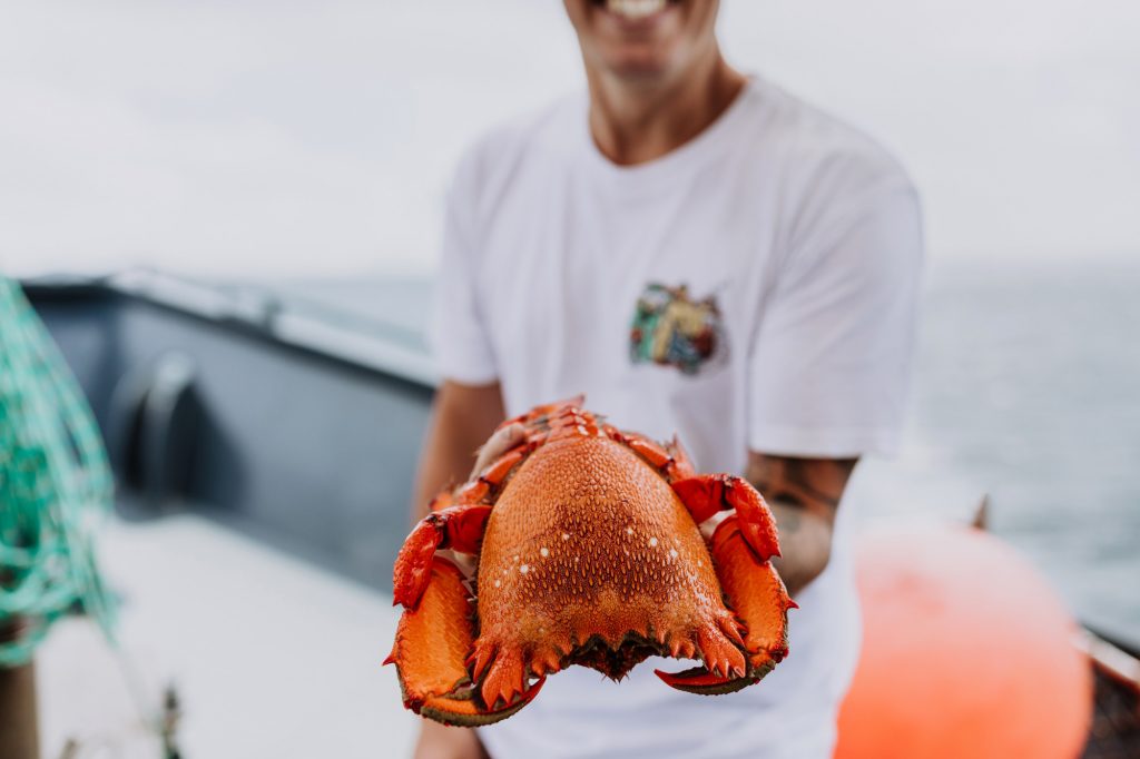 Mooloolaba spanner crab, image provided by Tourism and Events Queensland