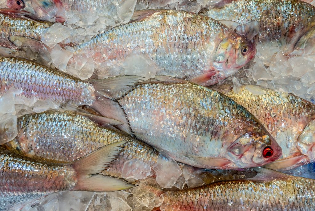 Raw fresh fish on ice at the fish market