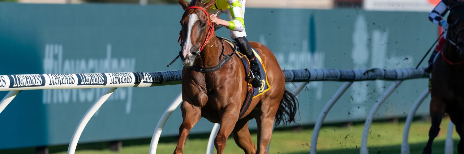 The Star Horse - Eduardo and Champion Jockey Nash Rawiller