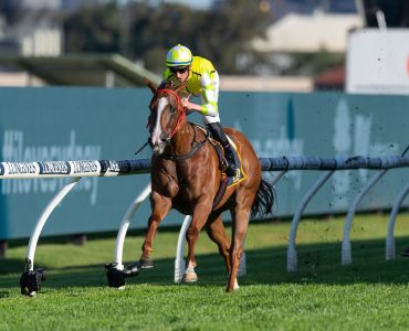 The Star Horse - Eduardo and Champion Jockey Nash Rawiller